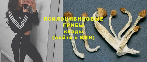 MESCALINE Алзамай